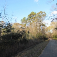 16 Acres- West side of Garner Rd. images 4