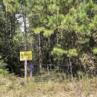 126 Acres &nbsp; Cleveland &nbsp; Worsham images 6