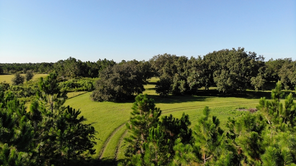 Camp Mack Road 100 Acres featured image