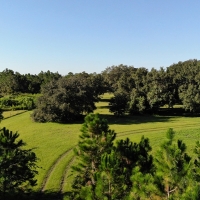 Camp Mack Road 100 Acres