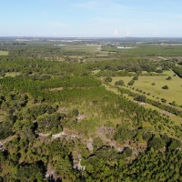 Camp Mack Road 100 Acres images 2
