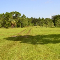 Camp Mack Road 100 Acres images 6