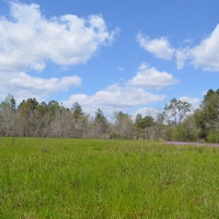 Smokehouse Ranch images 2
