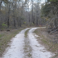 Smokehouse Ranch images 6