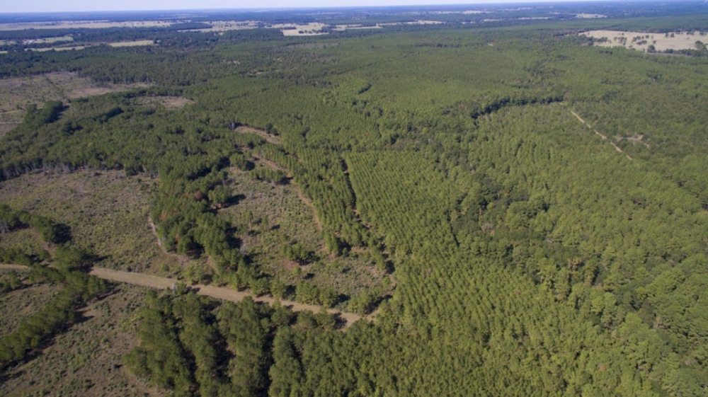 194 Acres &nbsp; Bo Brown Rd &nbsp; Tract 3 featured image