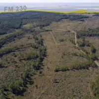 194 Acres &nbsp; Bo Brown Rd &nbsp; Tract 3 images 2