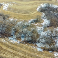 99  - Acres Grant County  WI images 5
