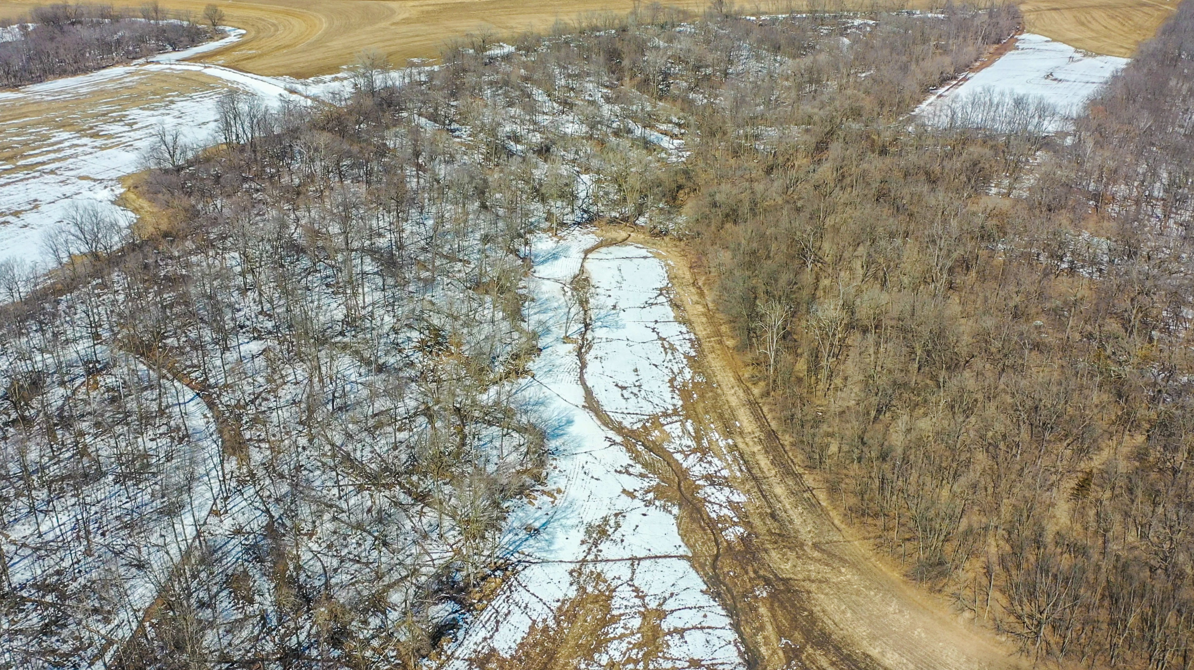 99 Acres Grant County WI Hunting Land for Sale
