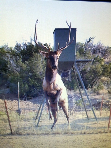 Heath Ranch featured image