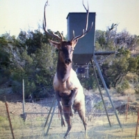 Heath Ranch