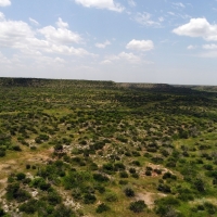 Heath Ranch images 5