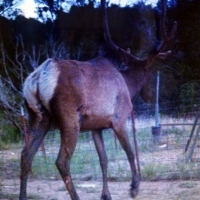 Heath Ranch images 6