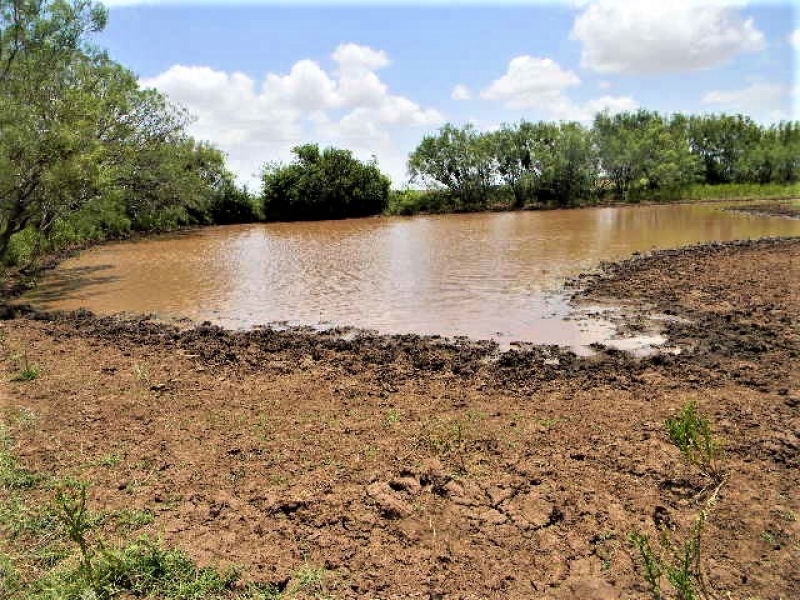 Stephens 158 Farm featured image