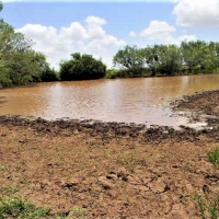 Stephens 158 Farm