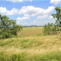 Stephens 158 Farm images 2