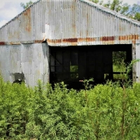 Stephens 158 Farm images 3