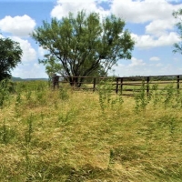 Stephens 158 Farm images 4