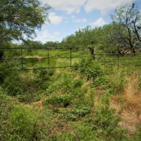 Stephens 158 Farm images 5
