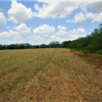 Stephens 158 Farm images 6