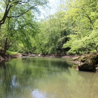 155-Acres with Two Homes on Raccoon Creek For Sale in Albany  Ohio images 6