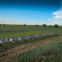 Orchard Coulee Ranch images 3