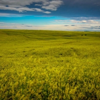 Orchard Coulee Ranch images 6