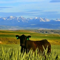 Copper City Ranch images 6