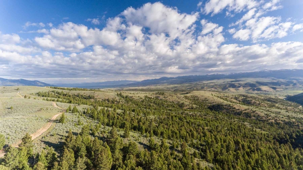 MTX Ranch featured image