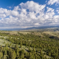 MTX Ranch