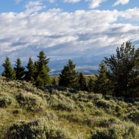 MTX Ranch images 2