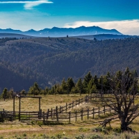 MTX Ranch images 3