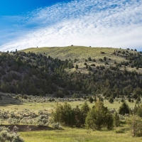 MTX Ranch images 4