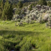 MTX Ranch images 5
