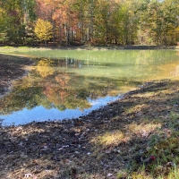 27.1  -acres of nice usable land images 3
