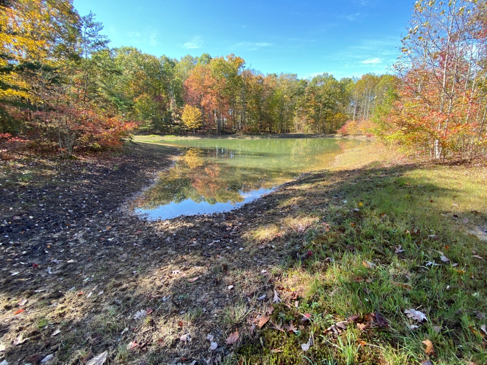 27.1  -acres of nice usable land featured image