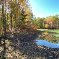 27.1  -acres of nice usable land images 2