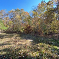 27.1  -acres of nice usable land images 6