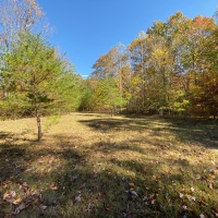 27.1  -acres of nice usable land images 5