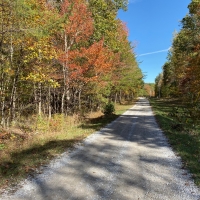27.1  -acres of nice usable land images 4