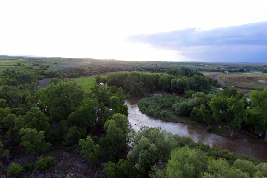 Goose Creek Meadows featured image