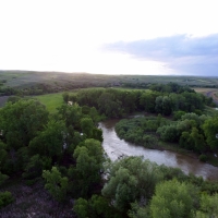 Goose Creek Meadows