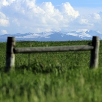 Goose Creek Meadows images 2