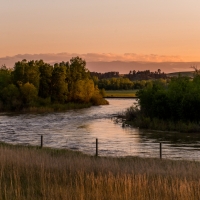 Goose Creek Meadows images 3