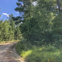 97 Acres &nbsp; Caney Estates &nbsp; 311029 images 3