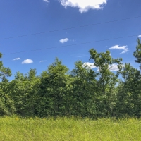 97 Acres &nbsp; Caney Estates &nbsp; 311029 images 4