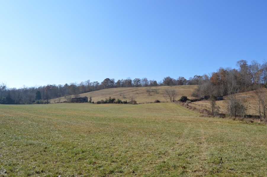 123 Acres Stewart County featured image