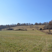 123 Acres Stewart County