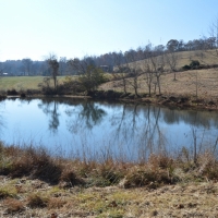 123 Acres Stewart County images 2