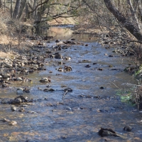 123 Acres Stewart County images 3