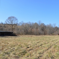 123 Acres Stewart County images 4